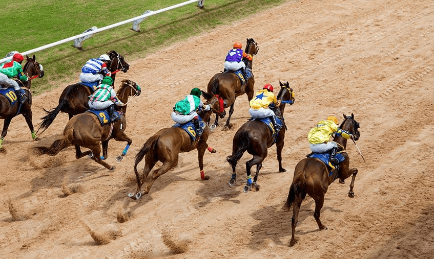 The Benefits of Watching Horse Racing Live
