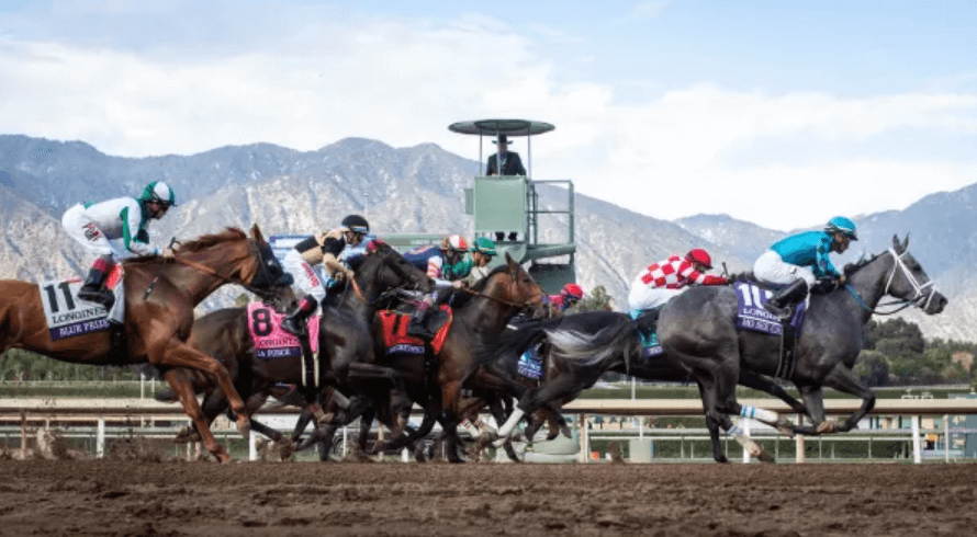The Best Horse Racing Books for Enthusiasts