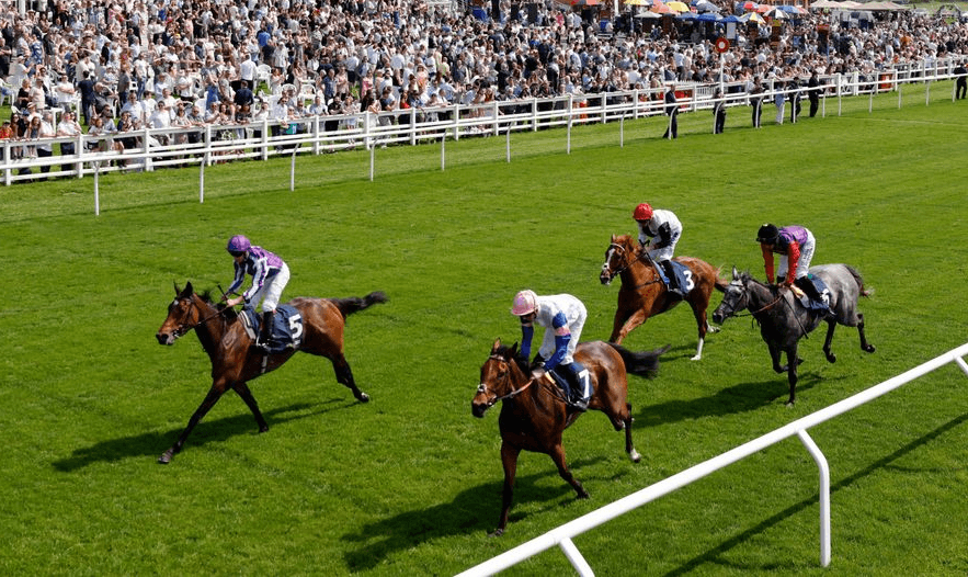 The Best Horse Racing Books for Fans and Enthusiasts